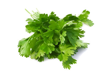 Parsley with water droplets isolated on the white