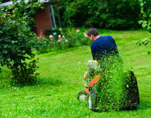 Ride-on lawn mower cutting grass. Focus on grasses in the air - 25050699