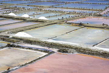 Salt farm in Aveiro, Portugal.