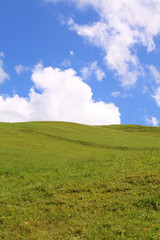 green summer fields under a blue sky with clouds sky