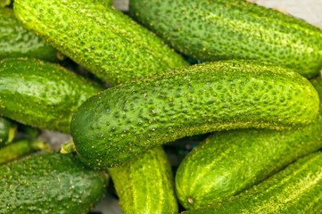 Gewürzgurken auf dem Wochenmarkt