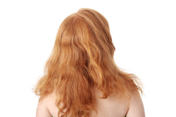 Fototapeta premium Red head