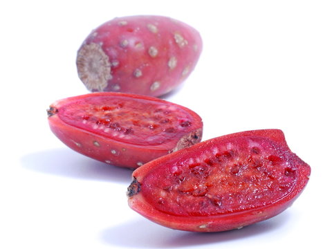 cactaceous fig isolated on white background