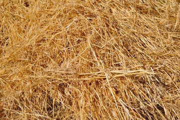 abstract background made from straw