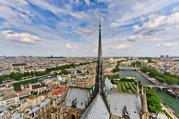 Fototapeta na wymiar Widok na Paryż z Notre Dame, Francja