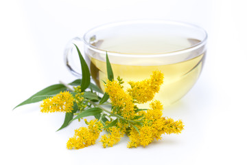 Kanadische Goldrute (Solidago canadensis) Tee mit Blüte