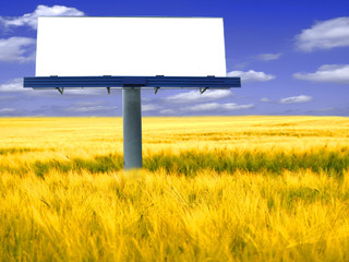 Blank billboard in field