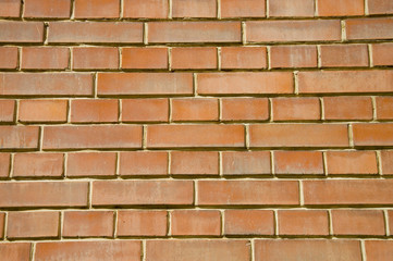 Obraz premium Brick Wall