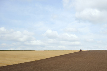 Fototapeta na wymiar agricultural landscape