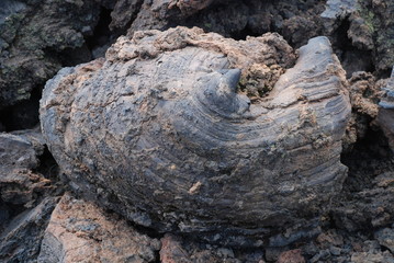 Lava