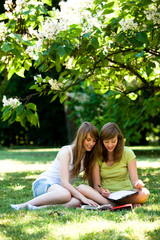 Girls studying outdoors