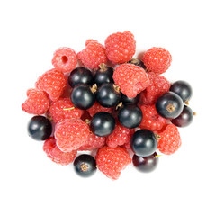 Black currant and raspberry