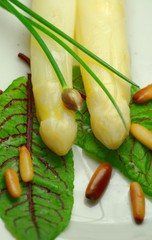 Spargel mit gerösteten Pinienkernen
