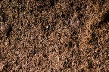 Close up of soil - can be used as background