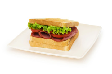 Tasty sandwich isolated on the white background
