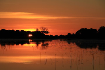 Fototapeta na wymiar Orange Sunset in the Okavango Delta