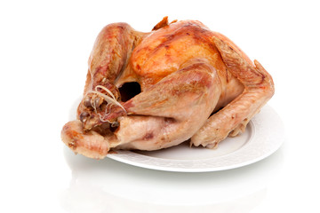 Whole turkey on white background