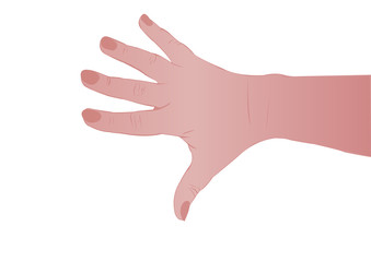 Hand of the person