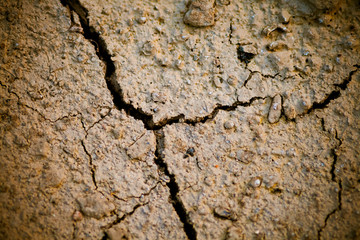 Cracked lifeless soil