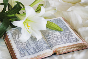 Easter Lily and Bible