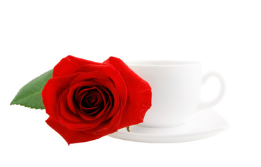 White cup of tea or coffee and red rose isolated