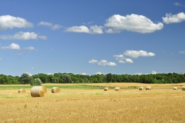 straw bales with blue cloudy sky