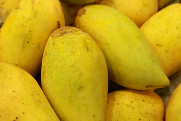 mango background