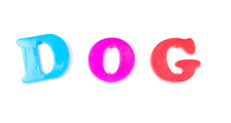 dog, written in fridge magnets