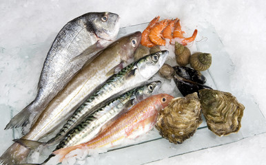poissons crustacés et coquillage sur un plateau