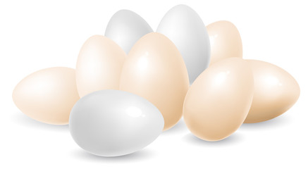Eggs