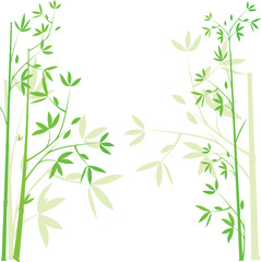 Bamboo  background, vector illustration