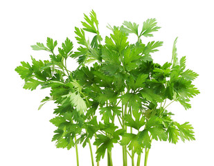 Bunch of fresh parsley