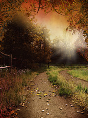 Naklejka premium Jesienna sceneria z wiejską drogą