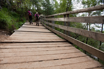 two hikers wife and husband walking on a wooden bridge during in a woods during their free time