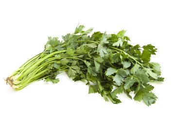 Fresh coriander