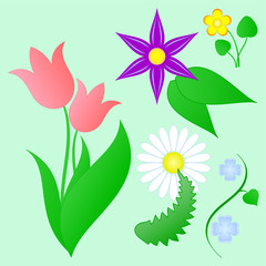 Fototapeta na wymiar spring flowers set on light green background