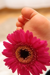 Naissance