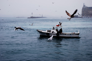 Naklejka premium A fisherman