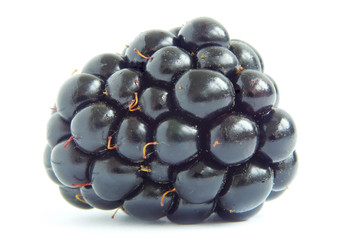 blackberry