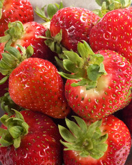 Close up of red strawberries.