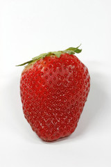 Erdbeere, Strawberry