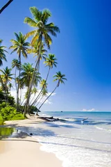 Abwaschbare Fototapete Karibik Nordküste von Trinidad, Karibik