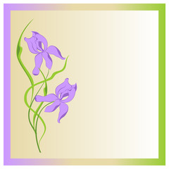 Flowers irises