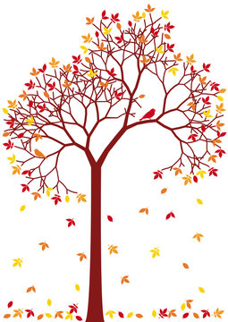 colorful autumn tree with falling leaves, vector