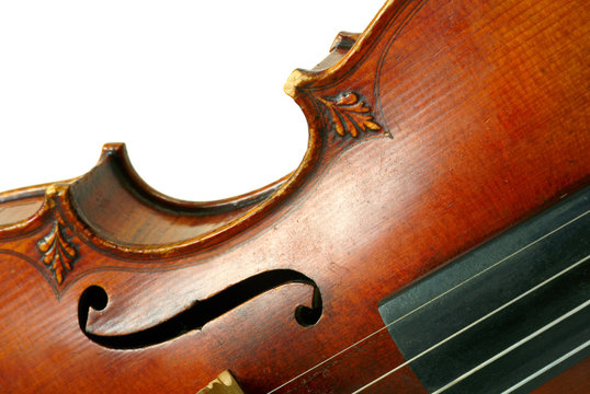Part of violin on white background.