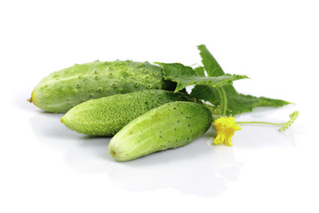 cucumber with leaf
