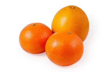 three citrus