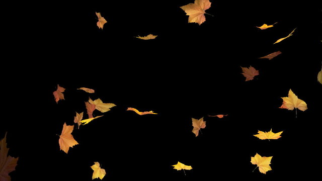 Falling leaves - alpha masked and looped 3d animation