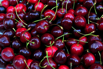 close up cherry