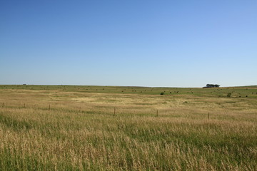 Obraz premium Hay Bayles Na Pastwisku